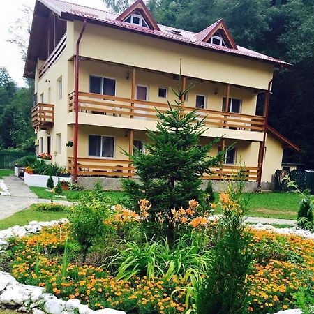 Pensiunea La Padure Cheia, Prahova Hotel Măneciu Екстериор снимка