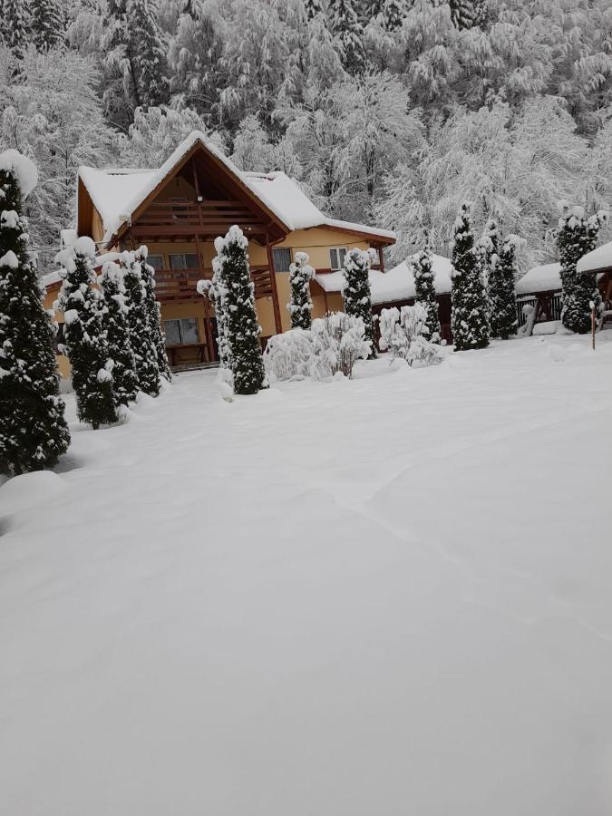 Pensiunea La Padure Cheia, Prahova Hotel Măneciu Екстериор снимка